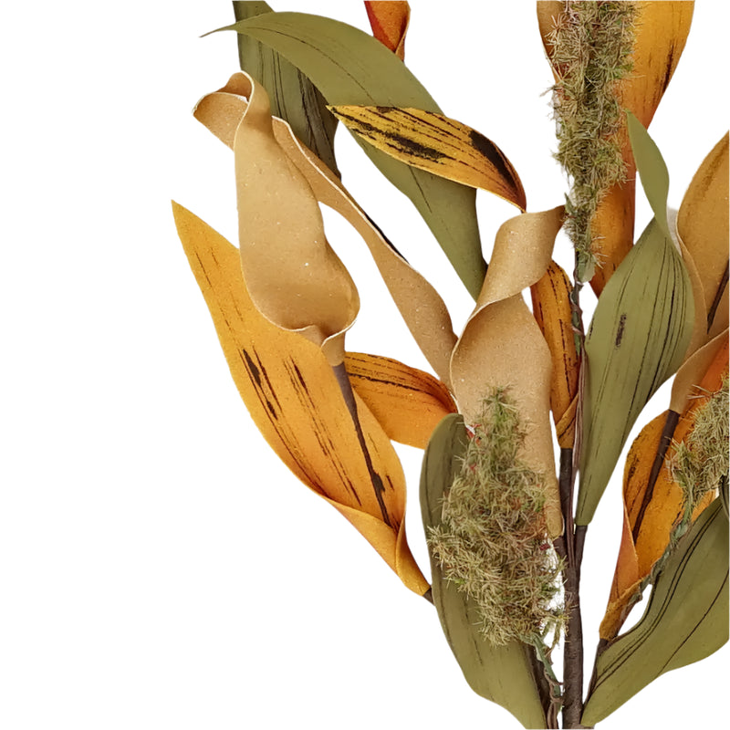 Herbs Leaves with Heather Bush