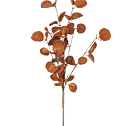 Silver Dollar Leaves Stem