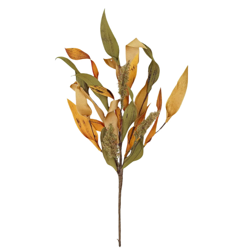 Herbs Leaves with Heather Bush