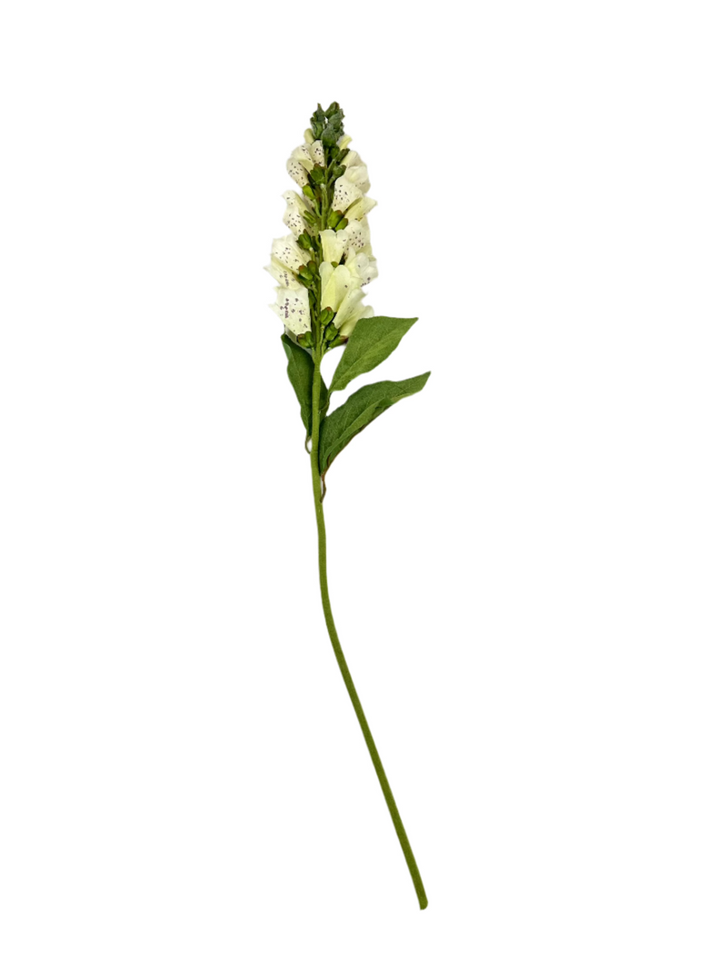 Foxglove Floral Stem