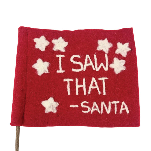 I Saw That Felt Flag