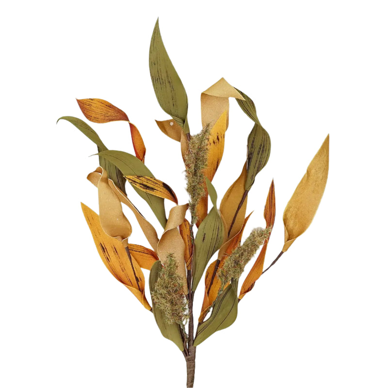 Herbs Leaves with Heather Bush