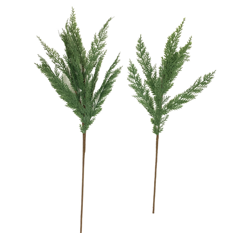 Cypress Stems