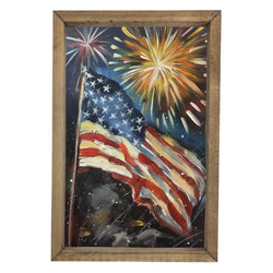 Flag with Fireworks <br>Framed Art