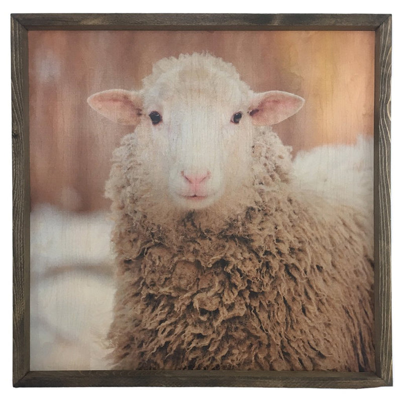 White Sheep <br>Framed Photography