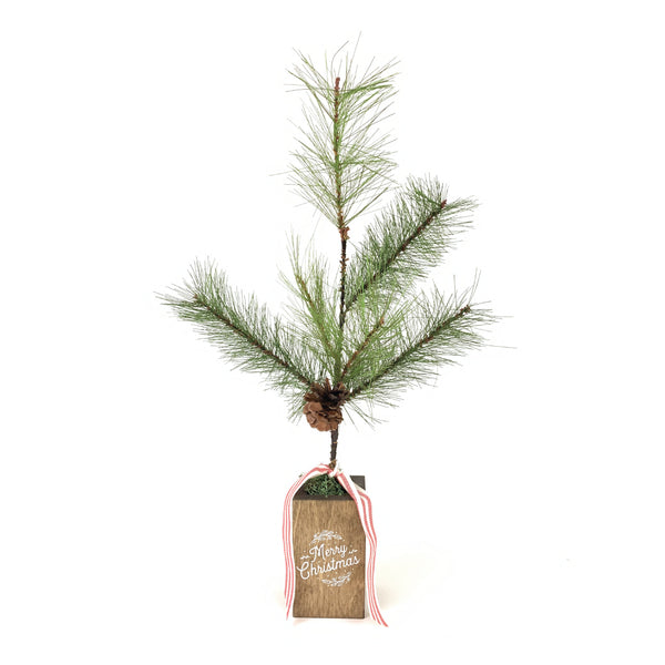 Merry Christmas Box Pine Tree
