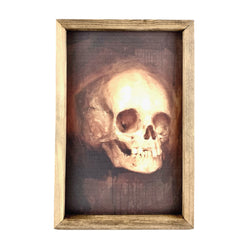 Skull <br>Framed Art